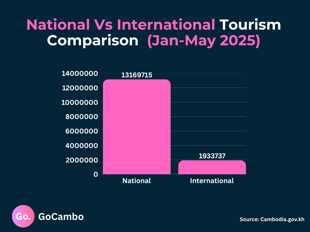 national vs international tourism comparison (jan may 2025)